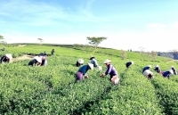 Lâm Đồng: Triển khai đồng bộ hiệu quả chính sách dân tộc