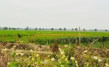 Bắc Ninh: Vì sao huyện Lương Tài hủy bỏ phê duyệt điều chỉnh đồ án quy hoạch Cụm công nghiệp Lâm Bình?