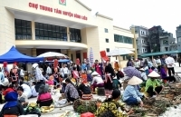 Nhiều cơ chế, chính sách đặc thù