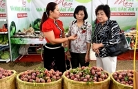 Mận và nông sản an toàn tỉnh Sơn La