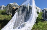 5 sản phẩm tham gia OCOP năm 2019