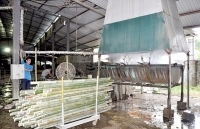 Xây dựng tư duy sản xuất hàng hóa lớn