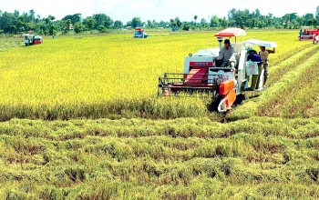 Biến đổi khí hậu khu vực ĐBSCL: Thích ứng để “sống khỏe”!