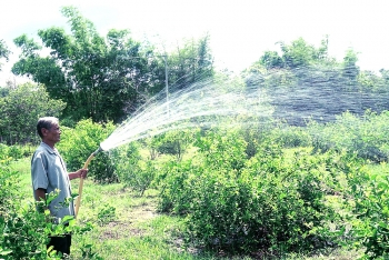 Trà Vinh: Điện khí hóa nông thôn giúp bà con làm ăn khấm khá hơn