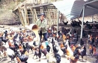 Đồng bào dân tộc thoát nghèo từ vốn chính sách