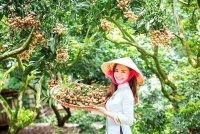 Cơ hội quảng bá đặc sản vùng miền