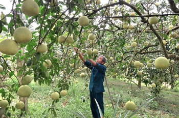 Áp dụng khoa học công nghệ: “Cú hích” giúp nâng hiệu quả lao động sản xuất
