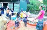 Thu gọn đầu mối quản lý để tập trung nguồn lực