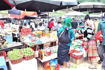 Tây Bắc phát triển mô hình chuỗi cung ứng