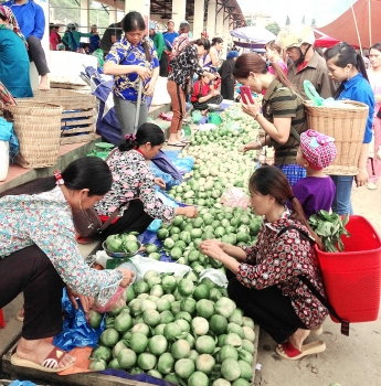 Mường Khương (Lào Cai): Đẩy mạnh sản xuất nông nghiệp hàng hóa