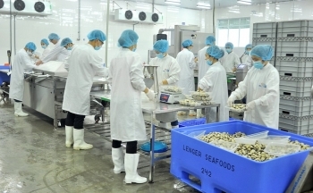 Doanh nghiệp nặng gánh lo khi tỉ giá liên tục lập đỉnh
