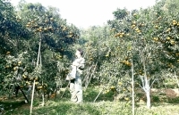 Những đổi thay ở Bạch Thông