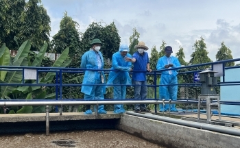 Hàng nghìn cơ sở chăn nuôi ở Đồng Nai thiếu giấy phép môi trường