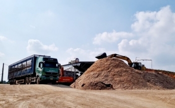 Nghệ An: Trang trại chăn nuôi bò ‘biến tướng’ thành xưởng băm dăm trái phép