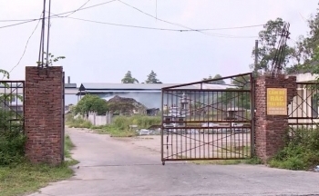 Lò đốt rác ô nhiễm nghiêm trọng, hàng trăm hộ dân, doanh nghiệp ở Bắc Ninh bị ảnh hưởng