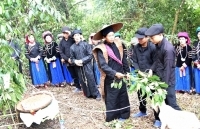 Lễ cúng thần rừng  của người Pu Péo