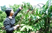 Tín dụng chính sách với đồng bào DTTS: Chuyển từ “cho không” sang “hỗ trợ có điều kiện”