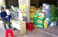 Đồng bằng sông Cửu Long: Nguồn cung phân bón dồi dào, giá giảm