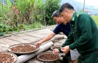 Bộ đội Biên phòng Cao Bằng: Nông thôn mới hơn  nhờ có các anh!