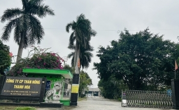 Nhiều hạng mục công trình xây dựng sai tại Khu công nghiệp Lễ Môn