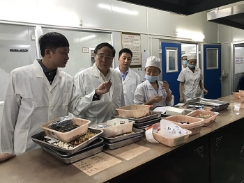 Bệnh viện Tuệ Tĩnh không tổ chức kỷ niệm Ngày Thầy thuốc Việt Nam để phòng, chống dịch