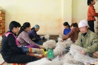 Chương trình OCOP tại Bình Liêu (Quảng Ninh): Góp phần xây dựng nông thôn mới