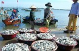Tăng trưởng sản xuất thủy sản