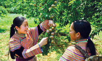 Chứng nhận nhãn hiệu