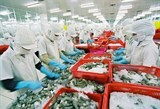 Sản xuất thủy sản đối mặt với nhiều khó khăn