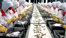 Thuỷ sản Việt Nam vì sao khó mở rộng thị phần tại khu vực RCEP?