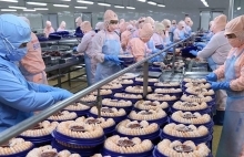 Kiều bào - kênh hữu hiệu đưa hàng hoá Việt vào thị trường Đức