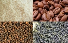 Xuất khẩu hàng hoá sang thị trường Maroc: Đề nghị đối tác đặt cọc tối thiểu 25%