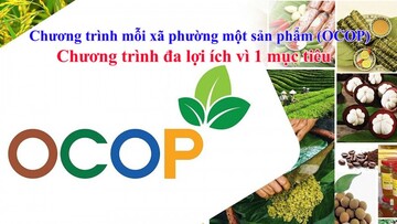 Chương trình mỗi xã phường một sản phẩm (OCOP) Chương trình đa lợi ích vì 1 mục tiêu