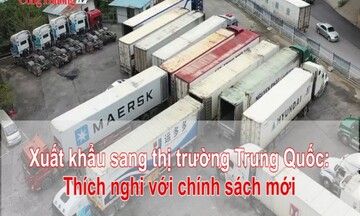 Xuất khẩu sang thị trường Trung Quốc: Thích nghi với chính sách mới