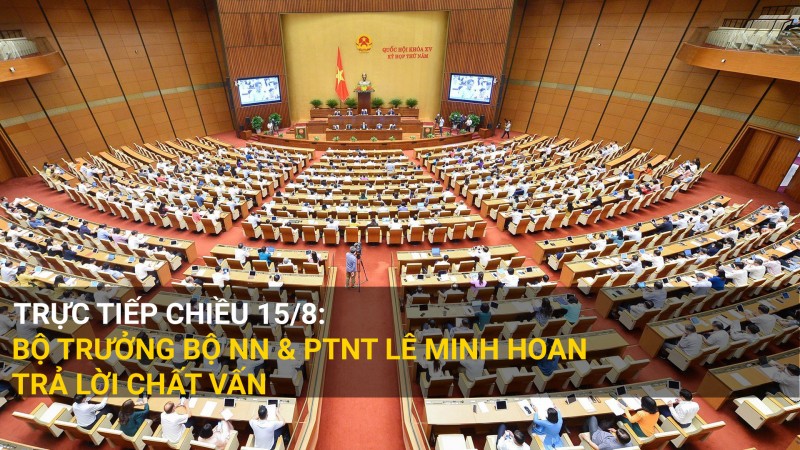 Trực tiếp: Bộ trưởng Bộ NN&PTNT Lê Minh Hoan trả lời chất vấn