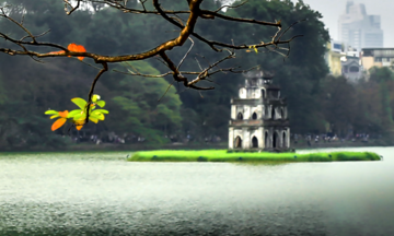 Kiên định con đường đã chọn