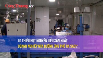Lo ngại thiếu hụt nguyên liệu sản xuất, doanh nghiệp mía đường ứng phó ra sao?