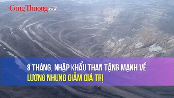 8 tháng, nhập khẩu than tăng mạnh về lượng nhưng giảm trị giá