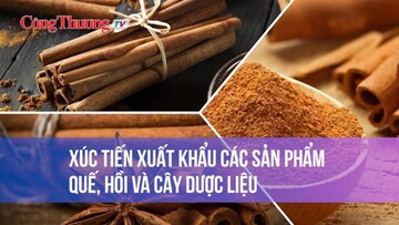 Xúc tiến xuất khẩu các sản phẩm quế, hồi và cây dược liệu