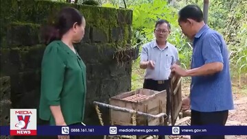 Phát huy sinh kế và khởi nghiệp cho người cao tuổi