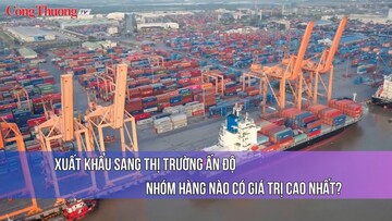 Xuất khẩu sang thị trường Ấn Độ - Nhóm hàng nào có giá trị cao nhất?