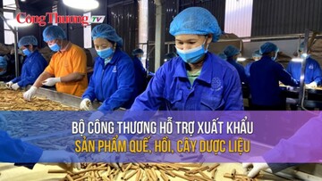 Bộ Công Thương hỗ trợ xuất khẩu sản phẩm quế, hồi, cây dược liệu