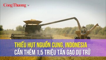 Thiếu hụt nguồn cung, Indonesia cần thêm 1,5 triệu tấn gạo dự trữ