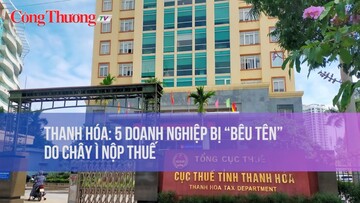 Thanh Hóa: 5 doanh nghiệp bị “bêu tên” do chây ì nộp thuế