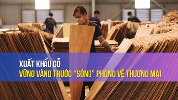Xuất khẩu gỗ: Vững vàng trước “sóng” phòng vệ thương mại