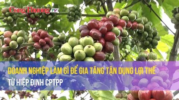 Doanh nghiệp làm gì để gia tăng tận dụng lợi thế từ Hiệp định CPTPP
