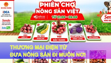 Thương mại điện tử đưa nông sản đi muôn nơi