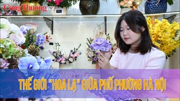 Thế giới 