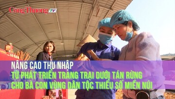 Nâng cao thu nhập từ phát triển trang trại dưới tán rừng cho bà con vùng dân tộc thiểu số miền núi