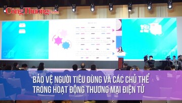 Bảo vệ người tiêu dùng và các chủ thể trong hoạt động thương mại điện tử
